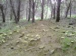 IMG_20141015_155936.jpg