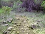 IMG_20141015_160002.jpg