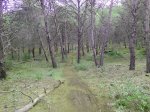 IMG_20141015_160011.jpg