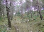 IMG_20141015_160047.jpg