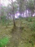 IMG_20141015_160057.jpg