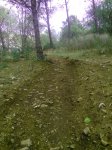 IMG_20141015_160118.jpg