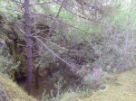 IMG_20141015_160150.jpg