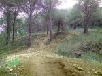 IMG_20141015_160158.jpg