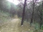 IMG_20141015_160237.jpg