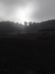 IMG_20141015_172442 2.jpg