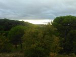 DSC_0711.jpg