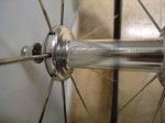 DSC01255.JPG