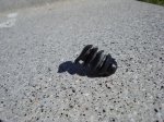 DSC05200.jpg