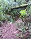 IMG-20141016-WA0001.jpg