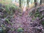 IMG-20141016-WA0000.jpg