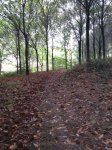 20141014_191427.jpg