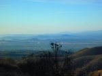 IMG_7095.JPG