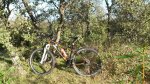 20141018_102523.jpg