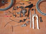 DSC05204.jpg