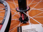 DSC01883.JPG
