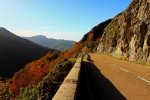 IMG_8027.JPG