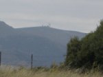 IMG_1334.jpg