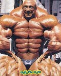 muscle[1].jpg