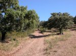 DSCN1487.JPG