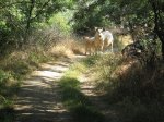 100_0050.JPG