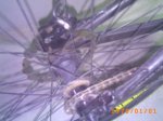 PICT0008.JPG