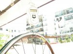 DSCN0296.JPG