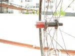 DSCN0302.JPG