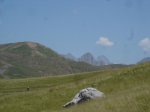 DSC06441.JPG
