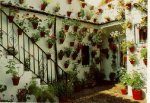 patiocordobeses.jpg