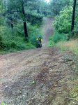 15-07-07_0955.jpg