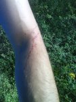 DSC00130.JPG