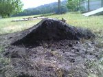 Photo-0219.jpg