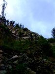 15-07-07_1156.jpg