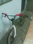 Imag.(15).jpg