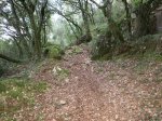 IMG_0170.JPG