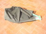 DSC05244.jpg