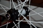 DSC_6674.JPG