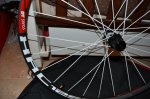 DSC_6685.JPG