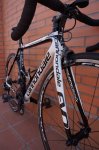 DSC04876.JPG