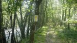 IMGP0251.JPG