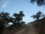IMG_2804.JPG