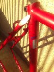 UNIVEGA_ALPINA_TRAIL_005.jpg