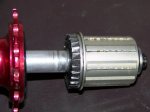 100_6530 (Medium).JPG