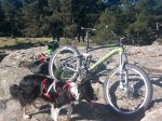 20140501_100307 peque.jpg