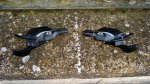 20141025_143616.jpg