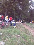 IMG_20141026_115332.jpg