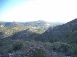 DSC03508.JPG