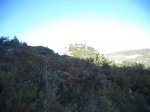 DSC03511.JPG