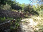 DSC03524.JPG
